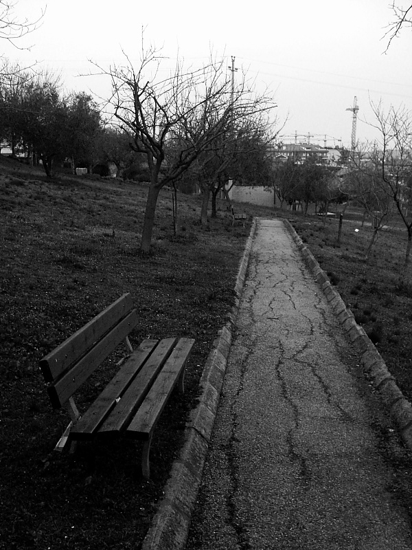 Vialetto (B&W)