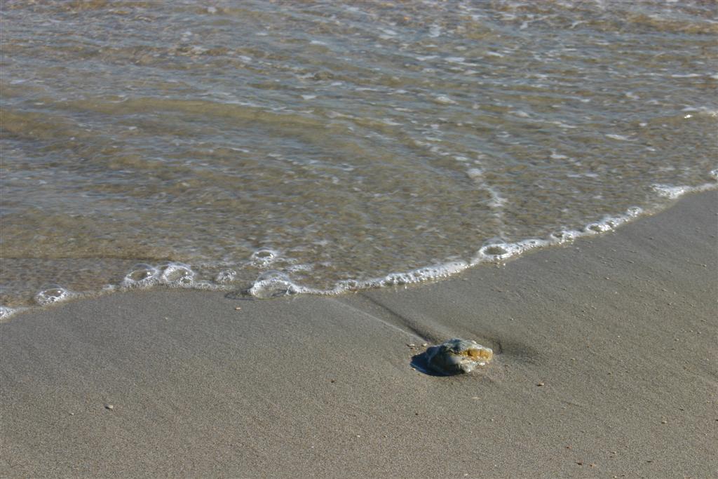 sasso nel mare....