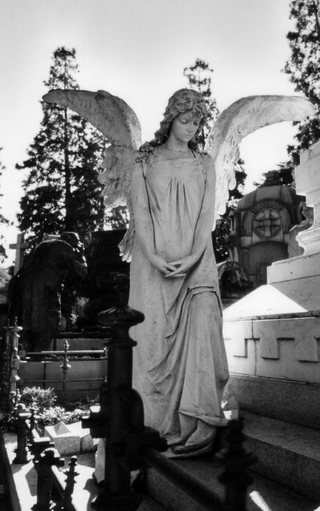 monumentale c