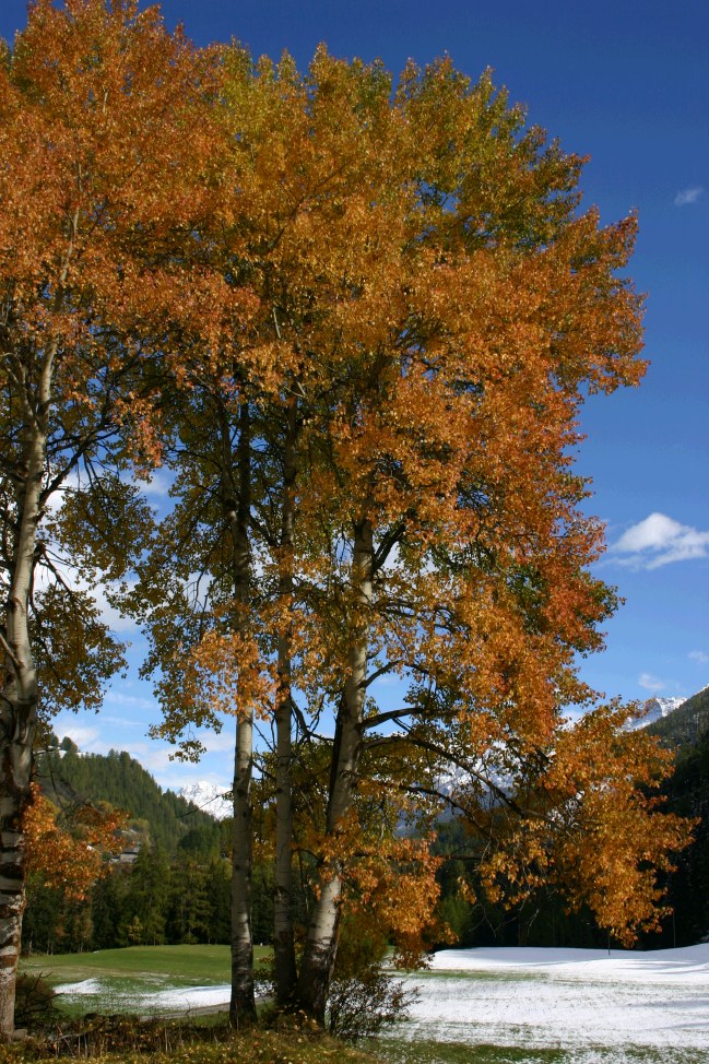 Autunno