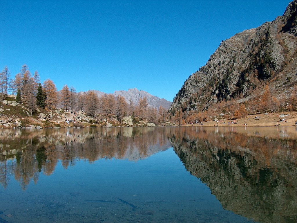 Davanti l'erba
