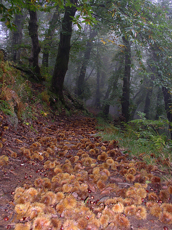 autunno