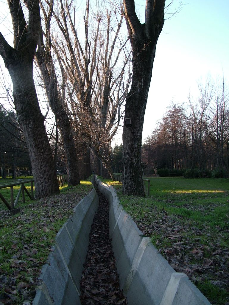Canale
