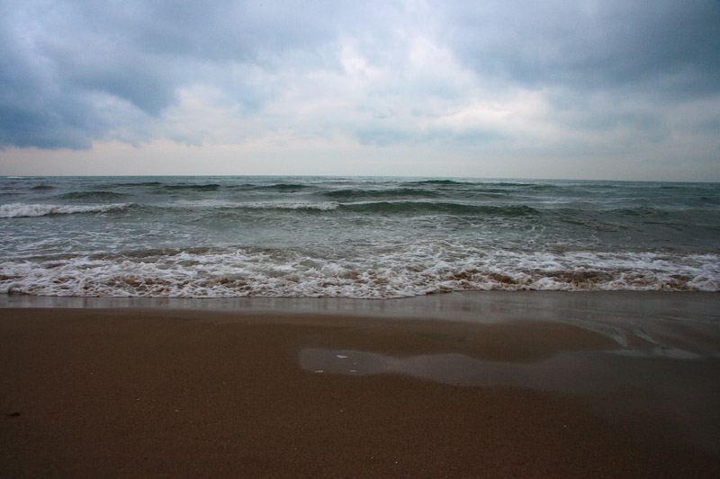 mare