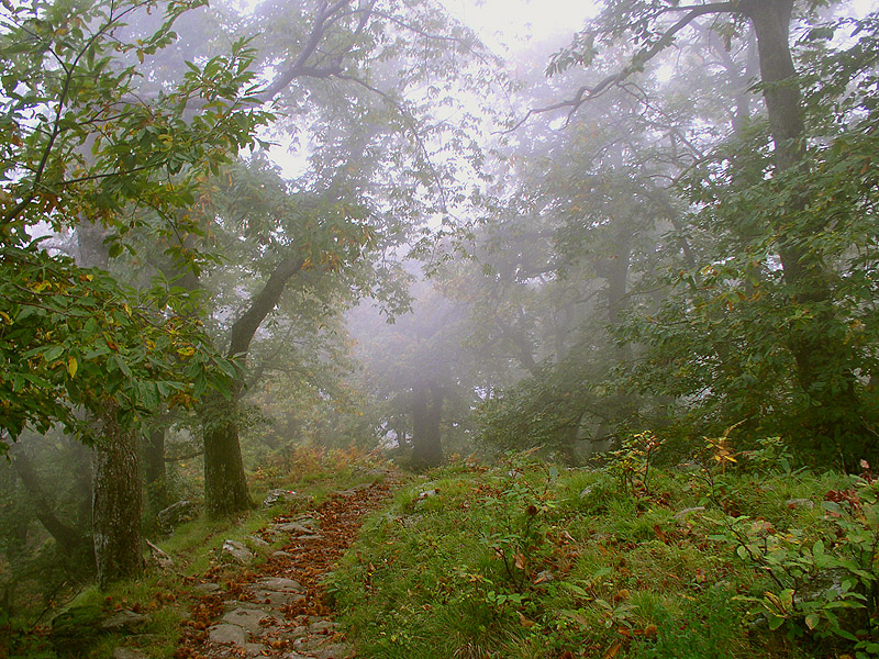 autunno 2