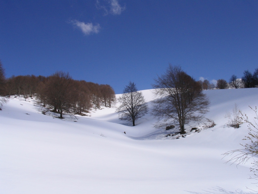 e candida scese la neve...