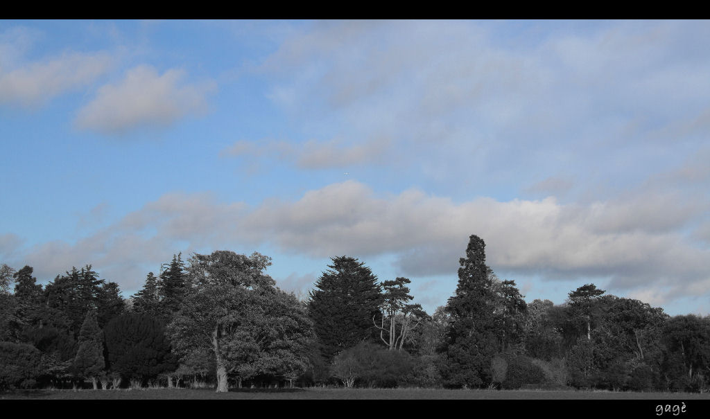 Cielo d'Irlanda.