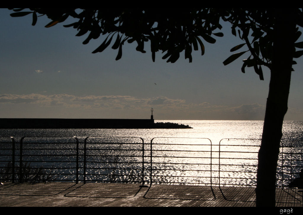 Faro (2)