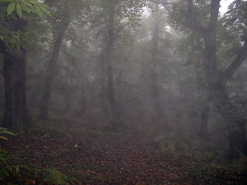 Tenebroso