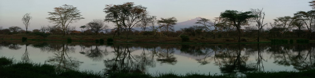 Kilimajaro 2