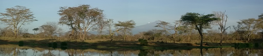 Kilimanjaro all'alba