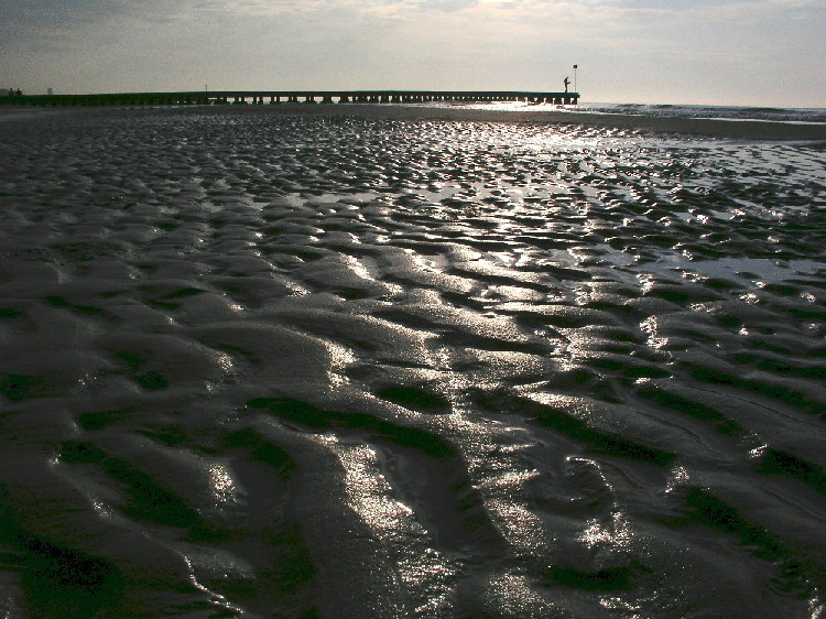 Bassa marea