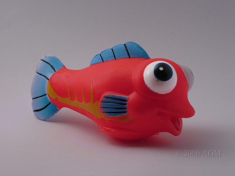 Pesce fuor d'acqua