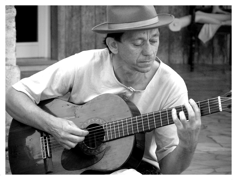 Musician