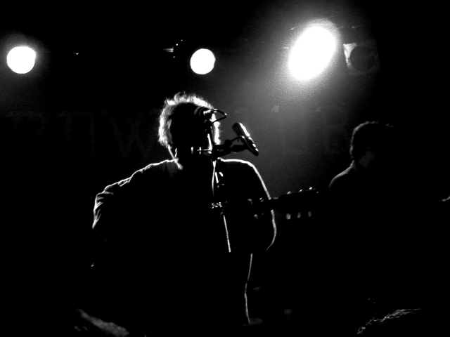 damien rice live