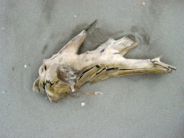 sand