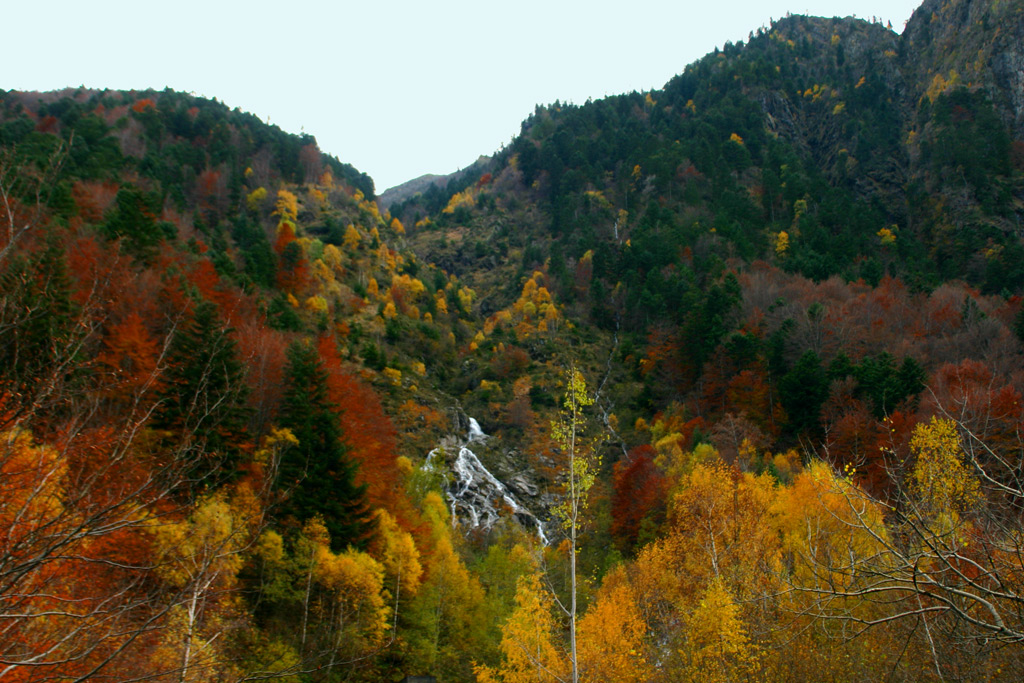 autunno
