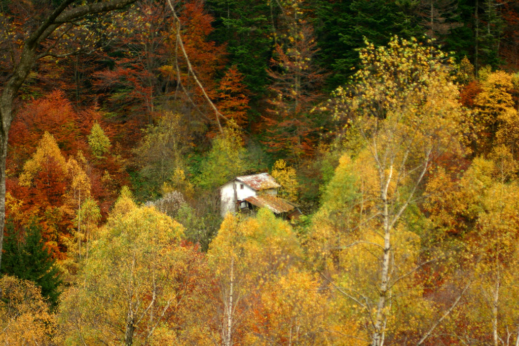 baite tra i colori