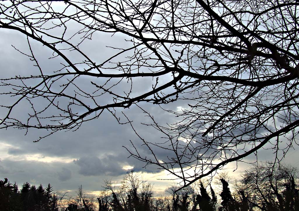 paesaggio invernale