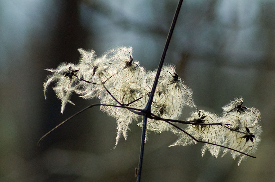 Controluce 2