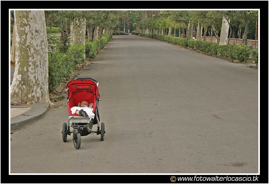 Poppante abbandonato per strada.