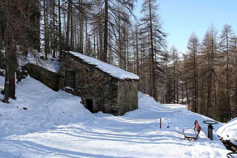 neve