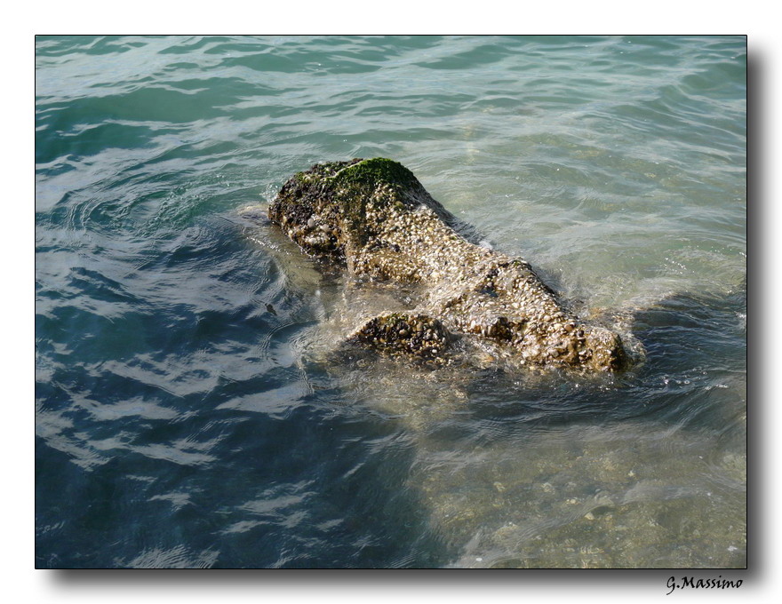 Scoglio
