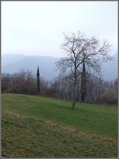 Pascolo - Spiazzi