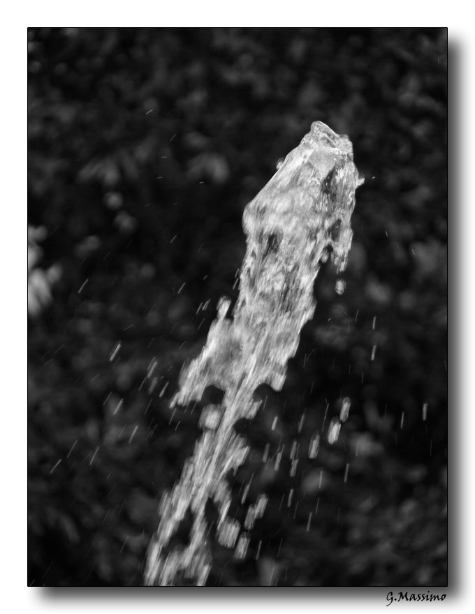 Acqua