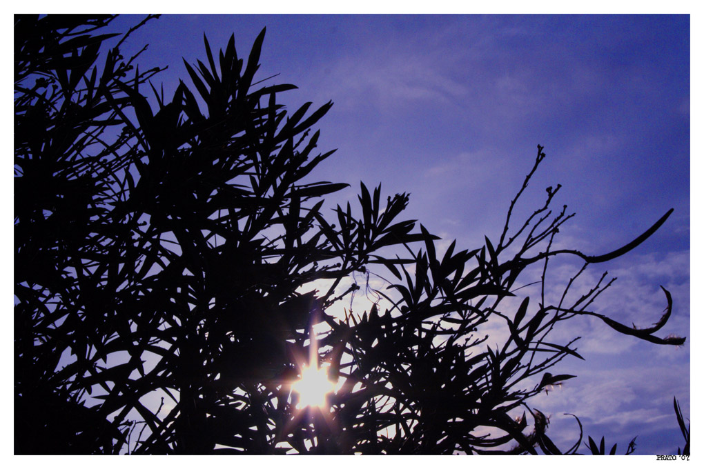controluce02