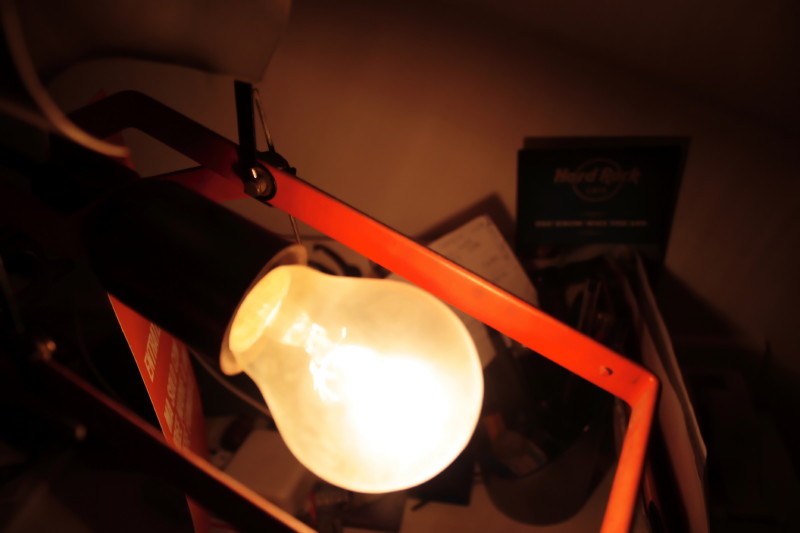 Lampada