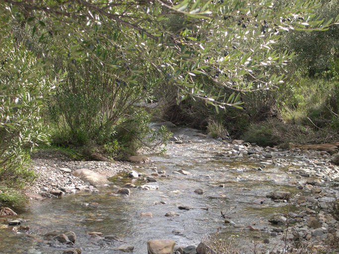 ruscello
