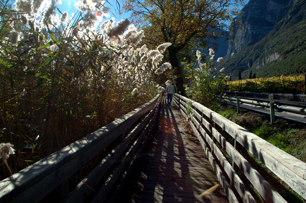 passeggiata autunnale