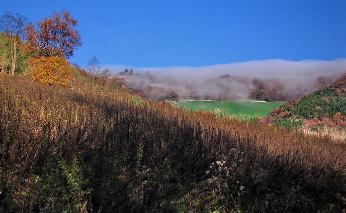 Arriva la nebbia