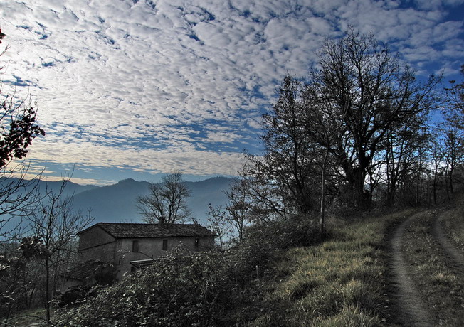 Cielo a pecorelle