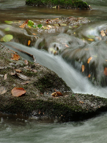 autum at it's best !