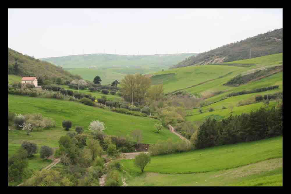 Prati