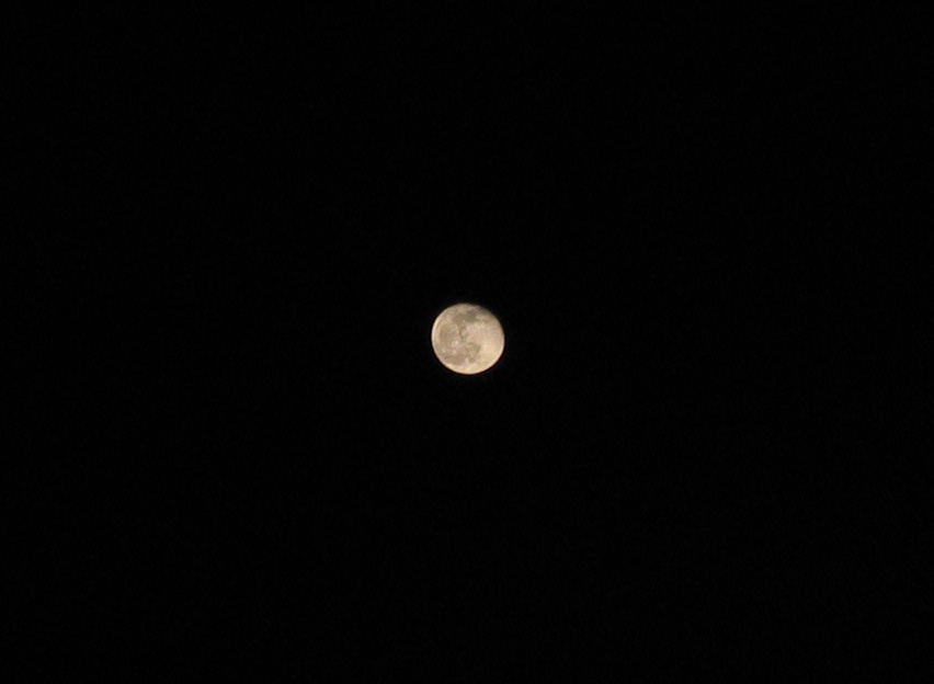 La mia prima luna