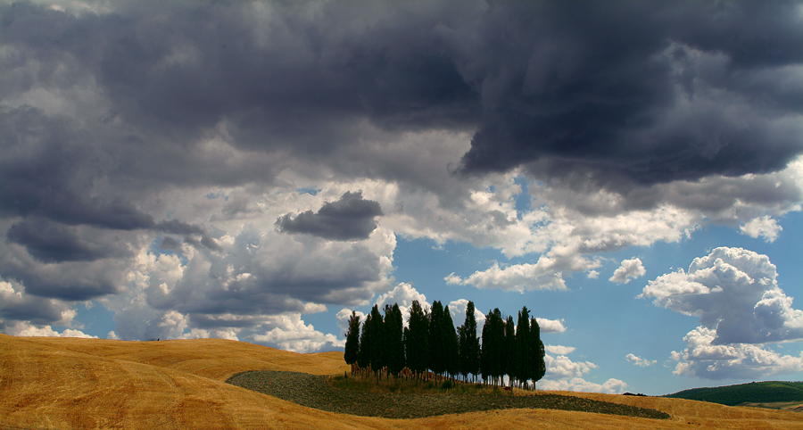 Paura dei tuoni