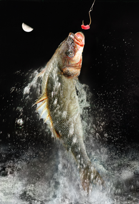 L'ultimo salto
