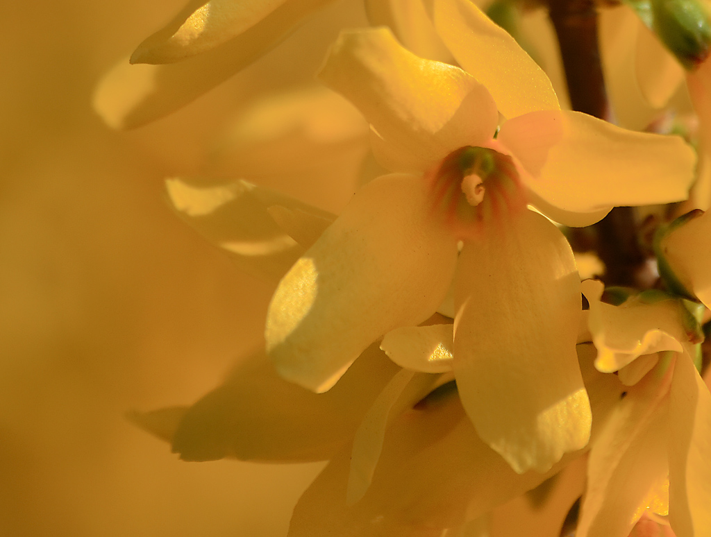 ...giallo su giallo..