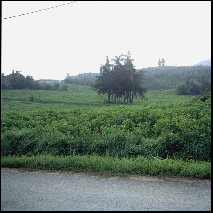 prova_biottica1