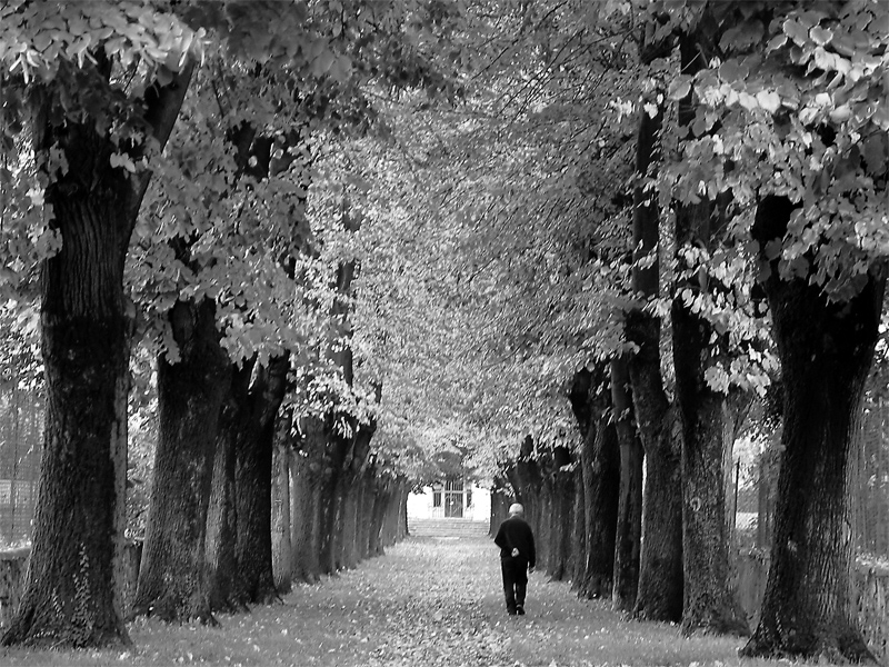 Verso la fine...