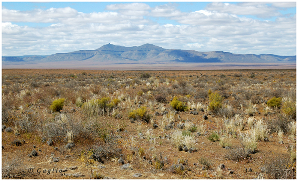 Tanqua karoo