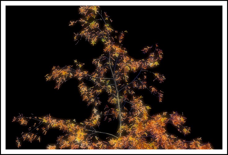 Dipingendo l'autunno