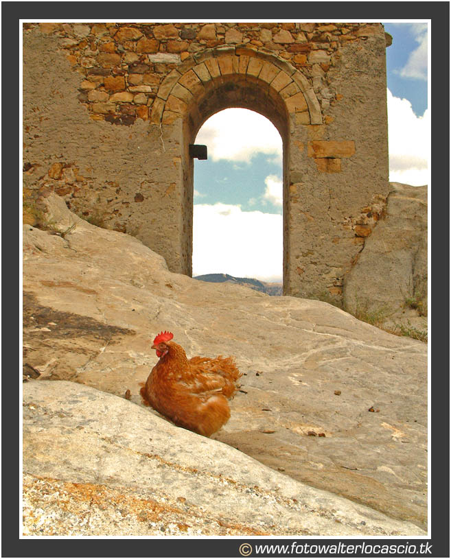 Turista per caso