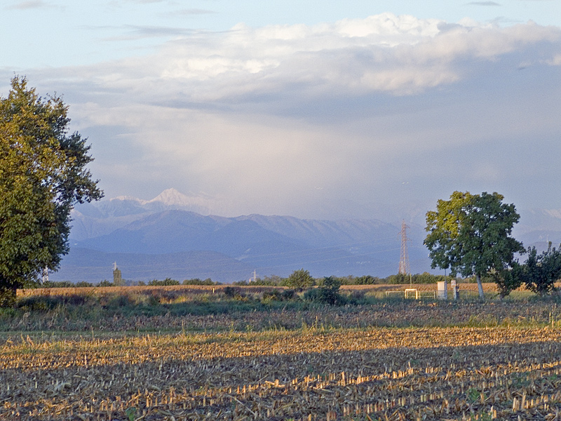 Panorama