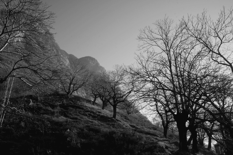 la collina