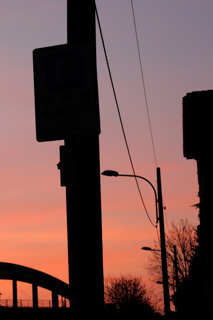 Alba cut 2