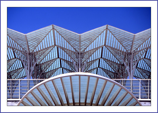 Archi e linee